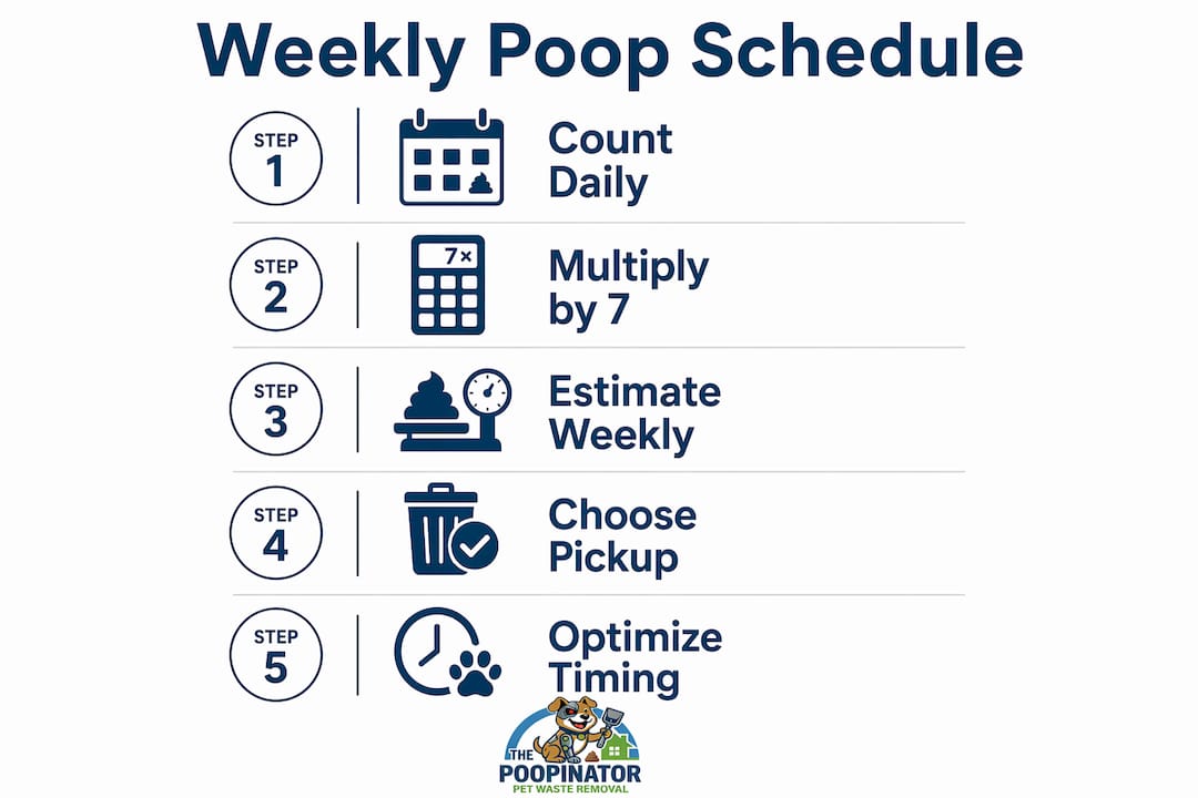 Infographic outlining dog poop frequency and pickup steps