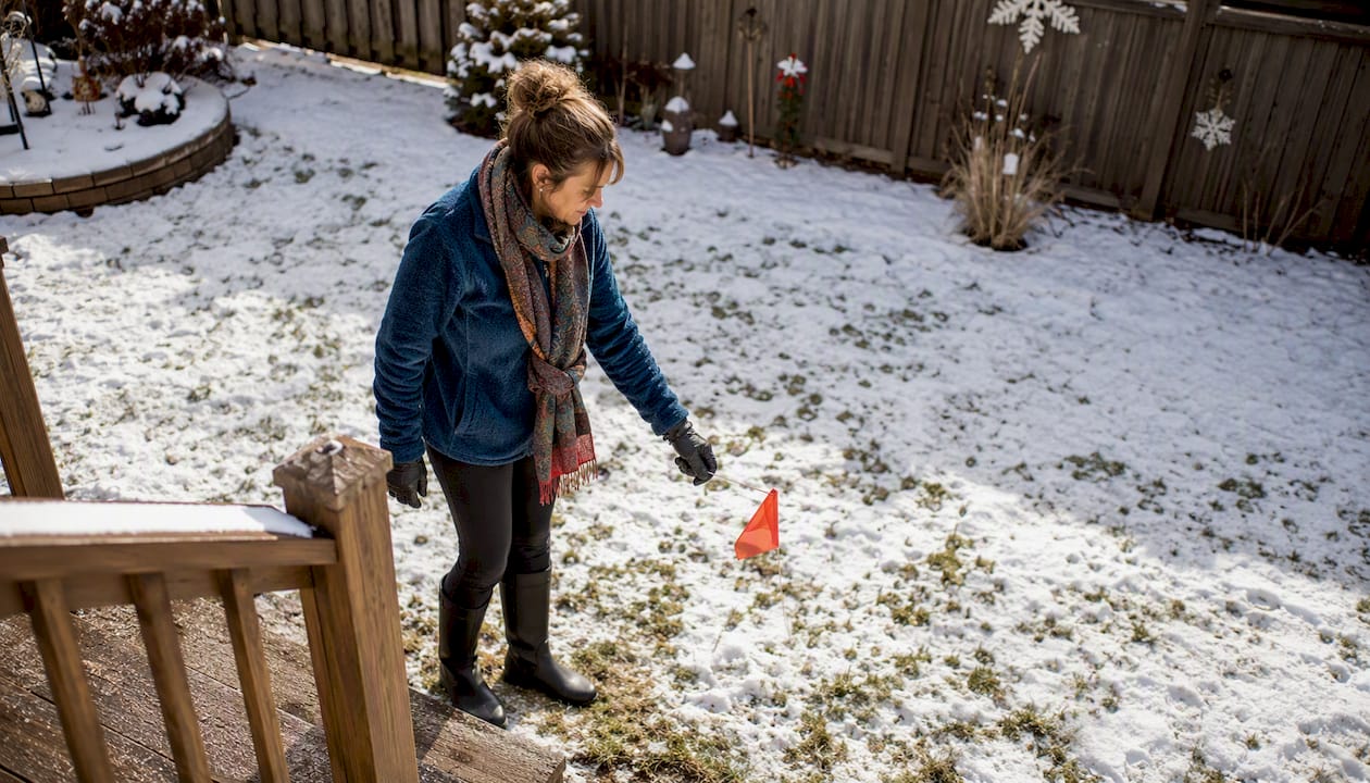 Dog owner flags waste in snowy yard