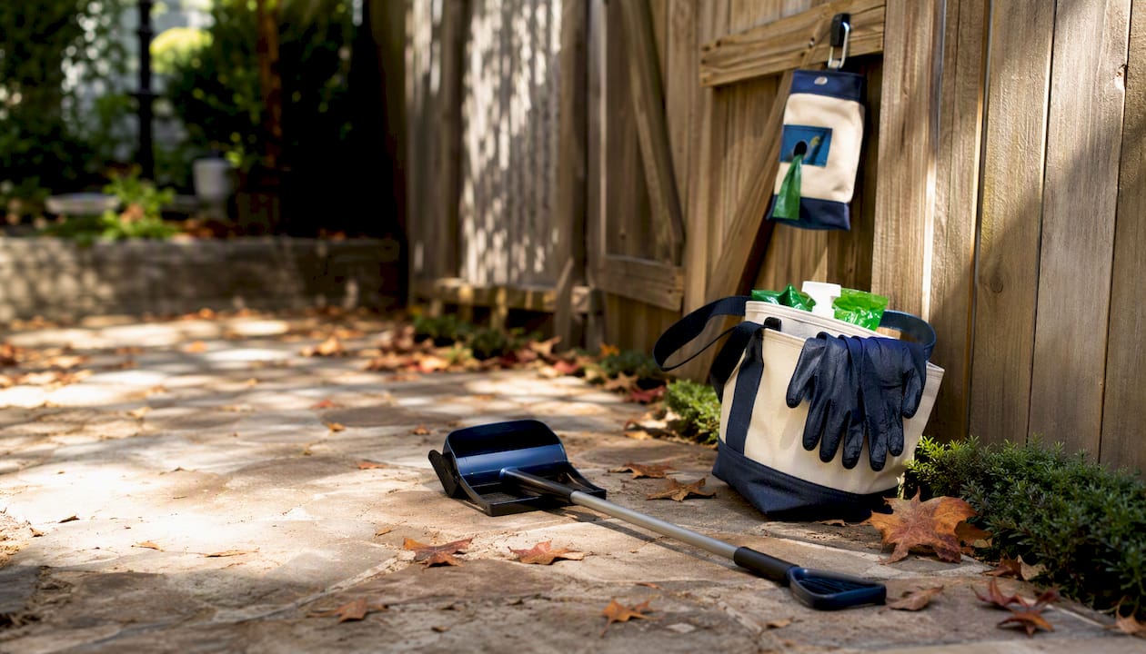 Pet waste cleanup tools on grass
