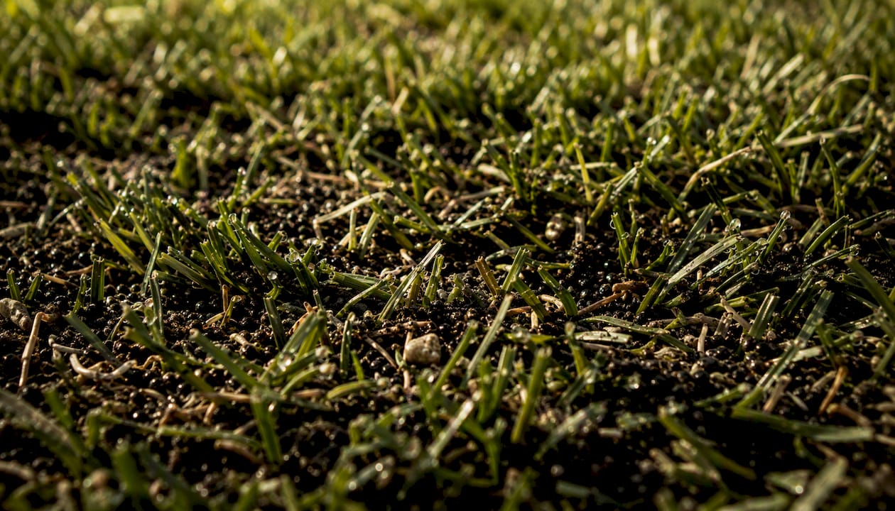 Matted and damp artificial turf infill close-up