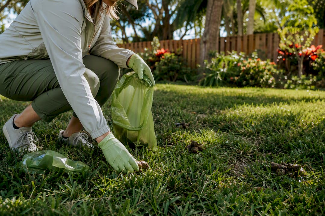 Person cleaning dog waste in Indianapolis yard