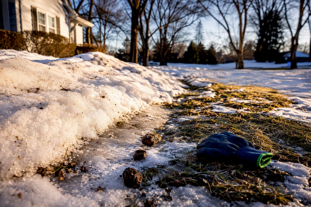 Frozen pet waste emerging during spring thaw