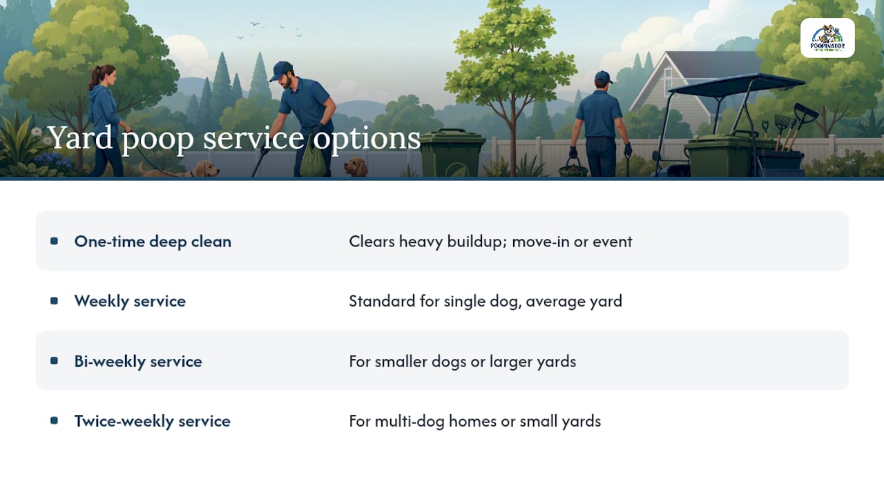 Yard cleanup frequency options and decision factors