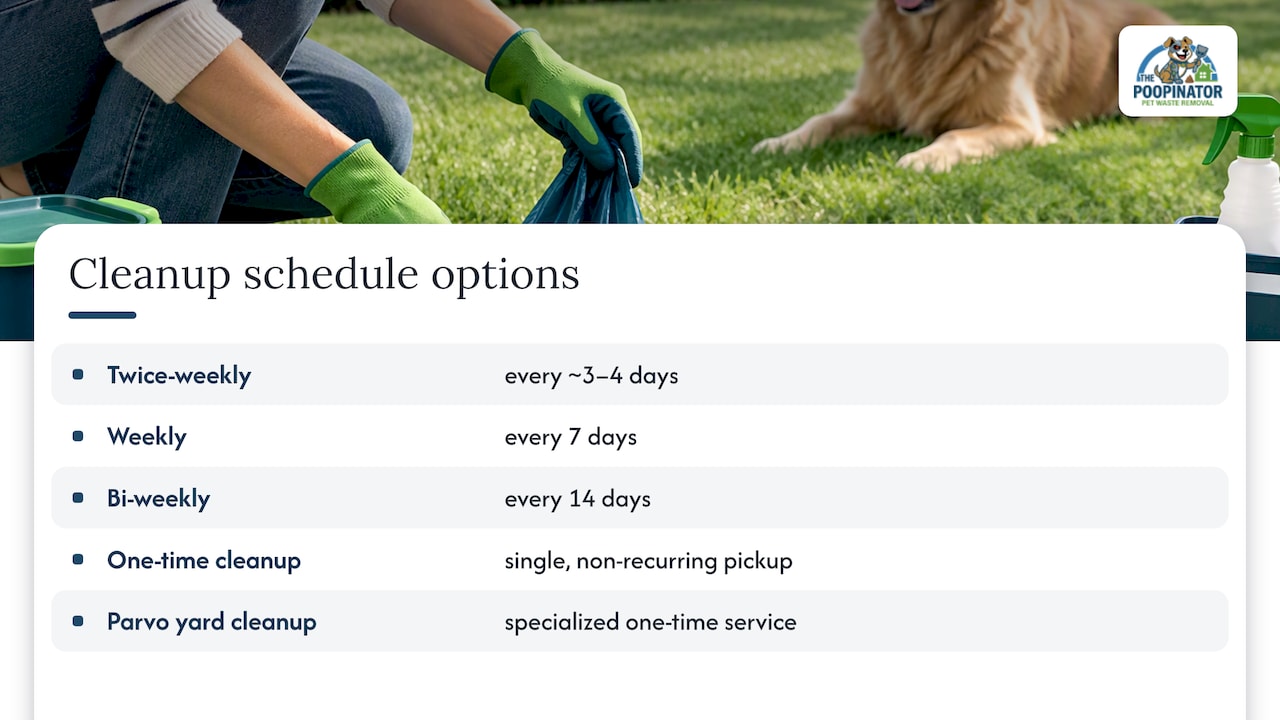 Dog waste removal schedules and infection timeline