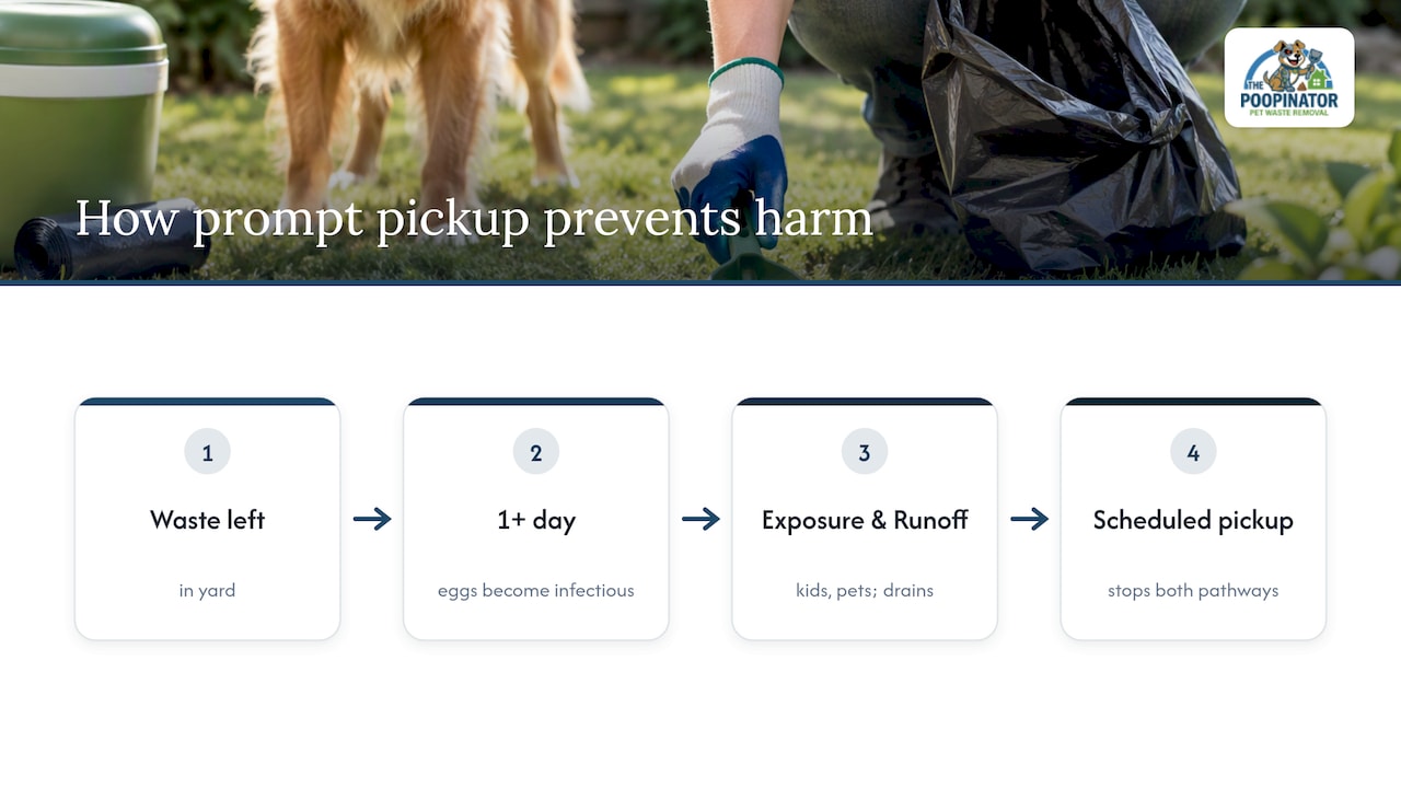 Pet waste exposure and runoff pathways