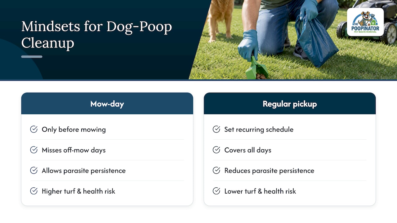 The Real Lesson Behind All the Lawn Care Advice — overview diagram
